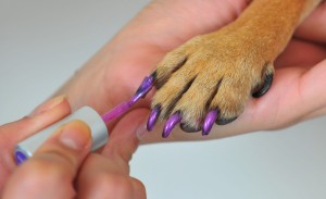 Pawdicure Polish Pens