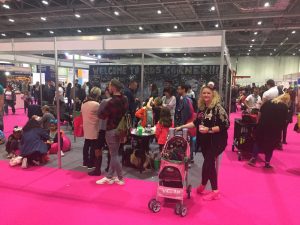 Childrens Corner
