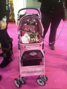 Queenies Buggy