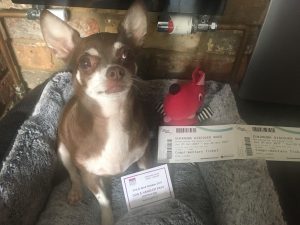 Queenie Woof Woof